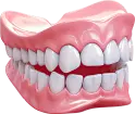 Dental
